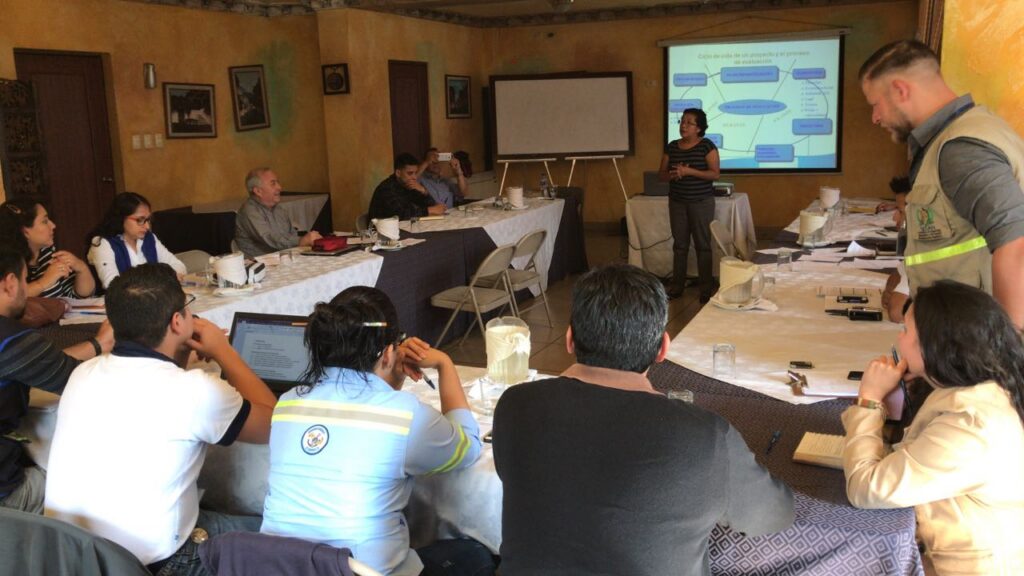 Curso Formulación y Evaluación de Proyectos de Inversión Pública