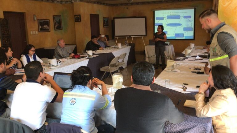 Curso Formulación y Evaluación de Proyectos de Inversión Pública