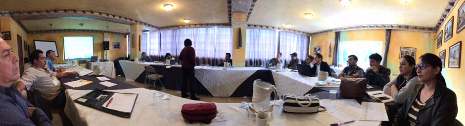 Curso Formulación y Evaluación de Proyectos de Inversión Pública