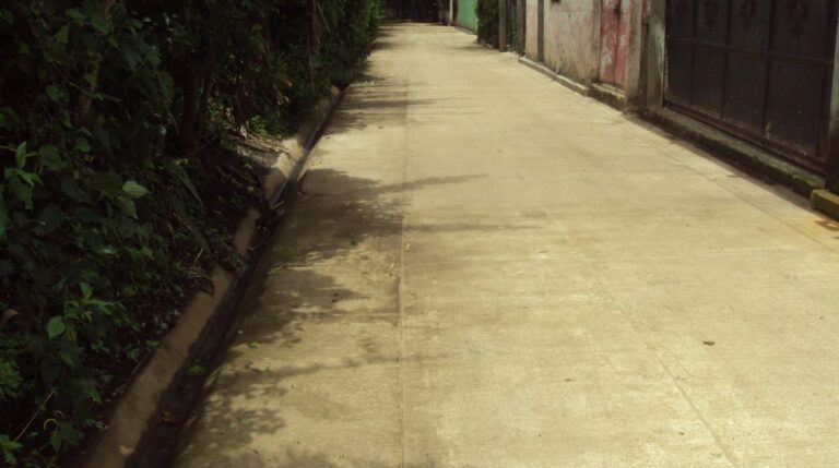 Convenio 119-2015 Villa Canales